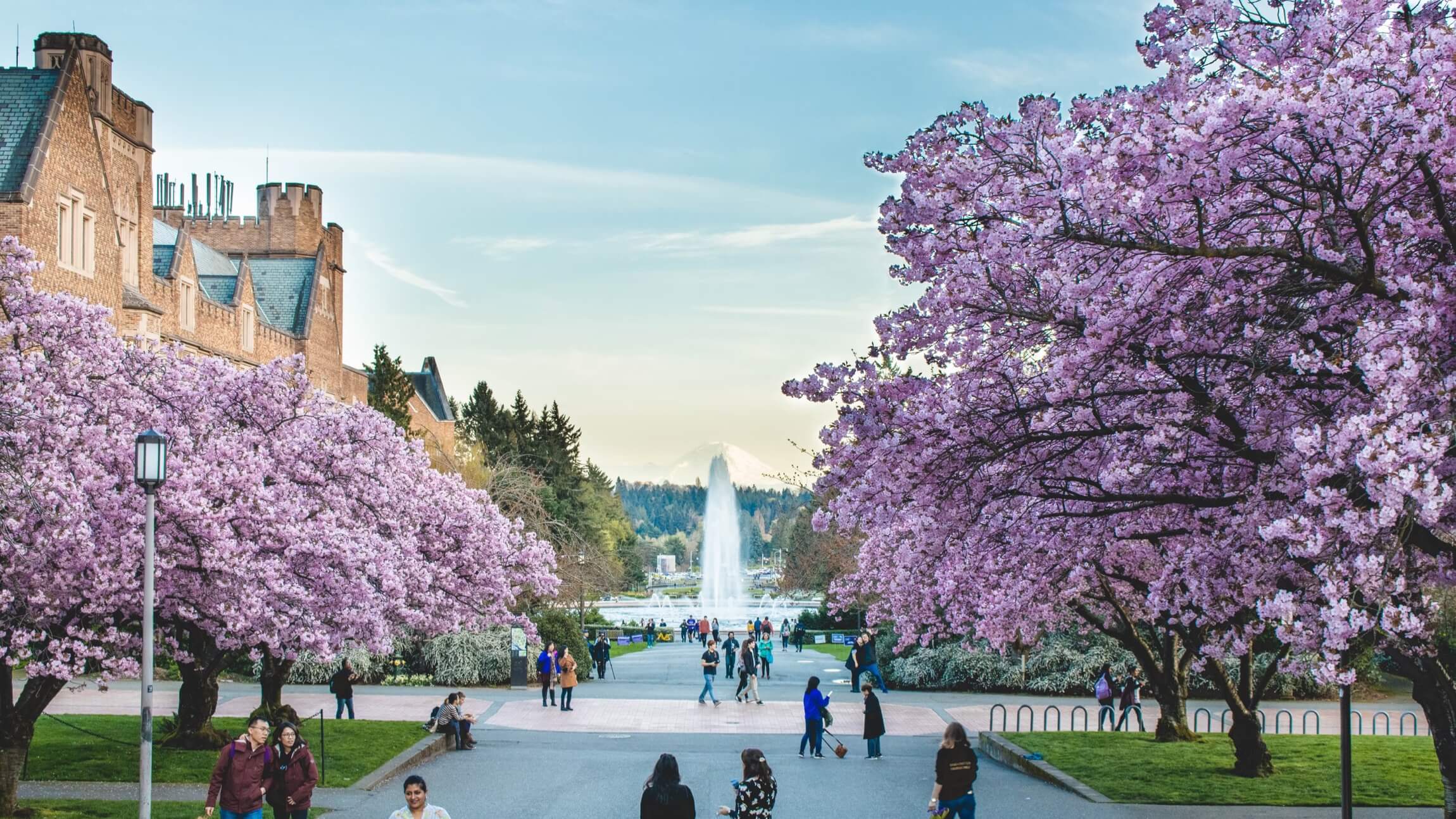 Photo of a busy part of the University of Washington campus in Seattle, with a view of Mount Rainier in the background
