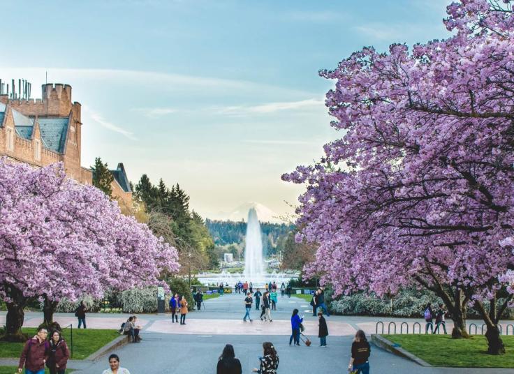 Photo of a busy part of the University of Washington campus in Seattle, with a view of Mount Rainier in the background