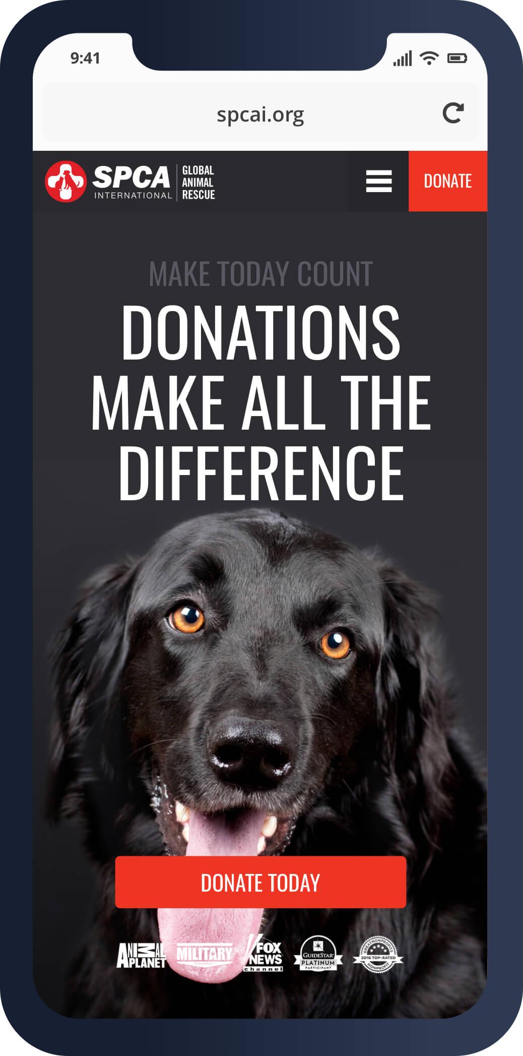 SPCA International Black Antelope