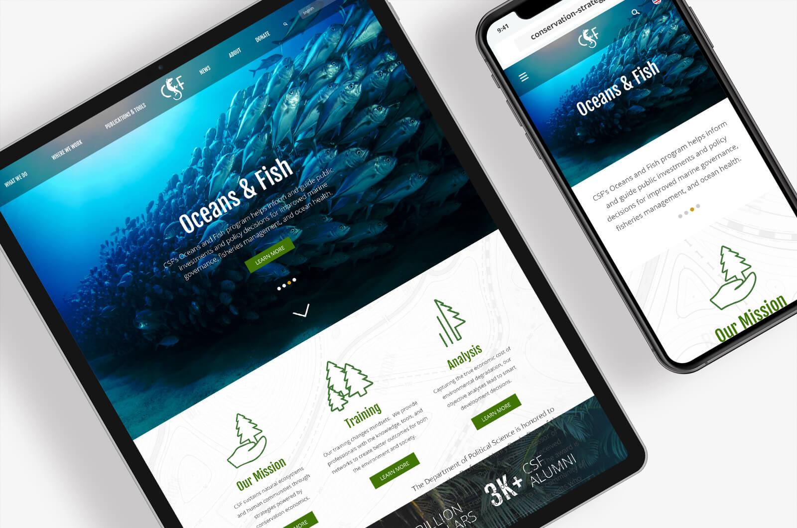 Homepage design for the CSF website
