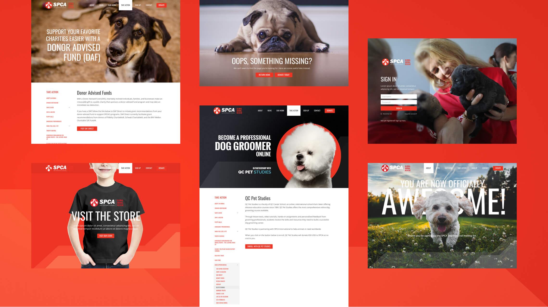 Various desktop design examples