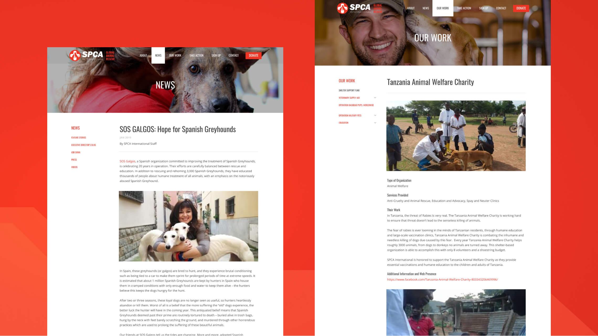 Desktop design examples of a news page and a project page