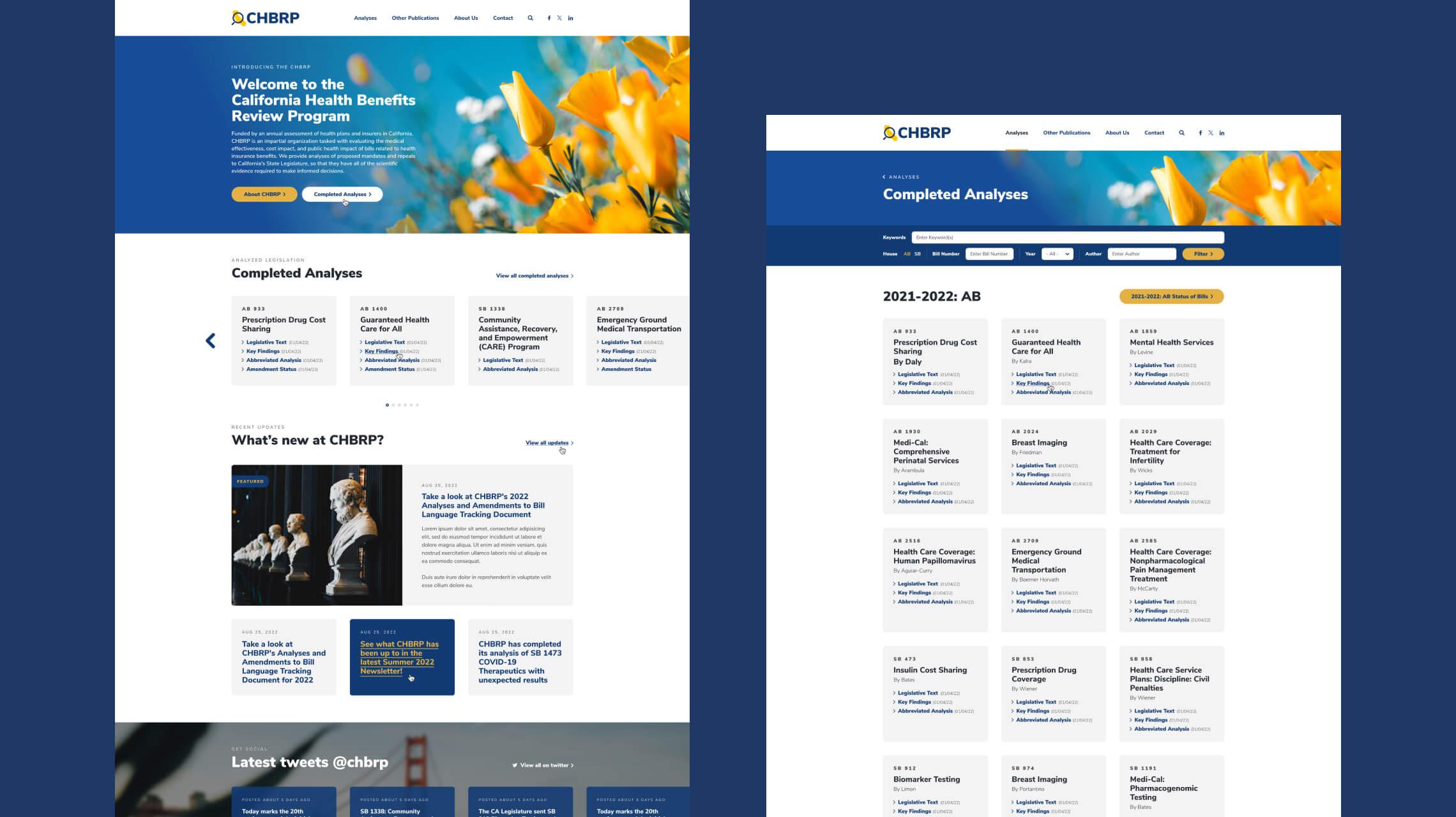 Desktop design examples of the CHBRP website